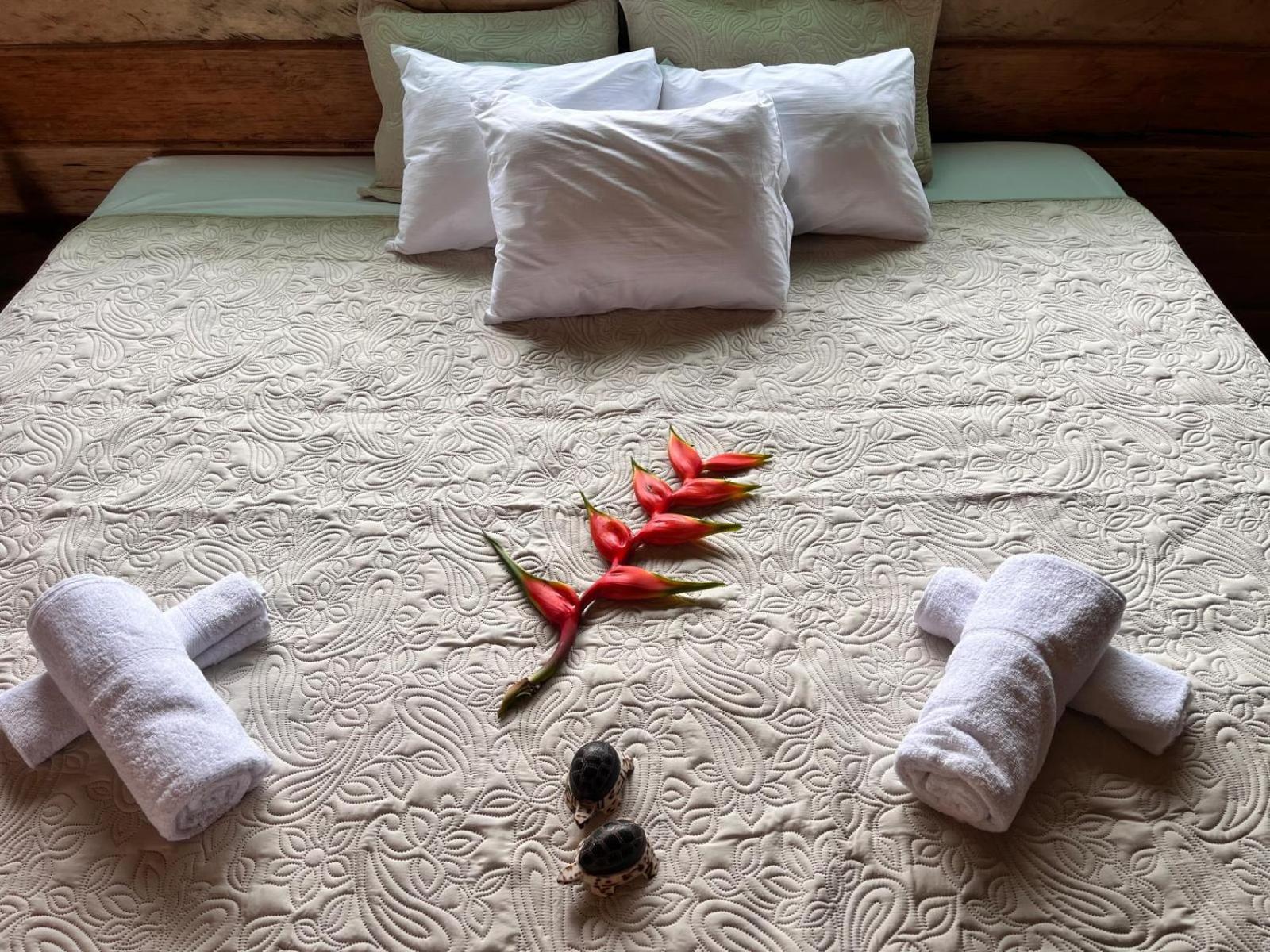 איקיטוס Purachata Ecolodge מראה חיצוני תמונה