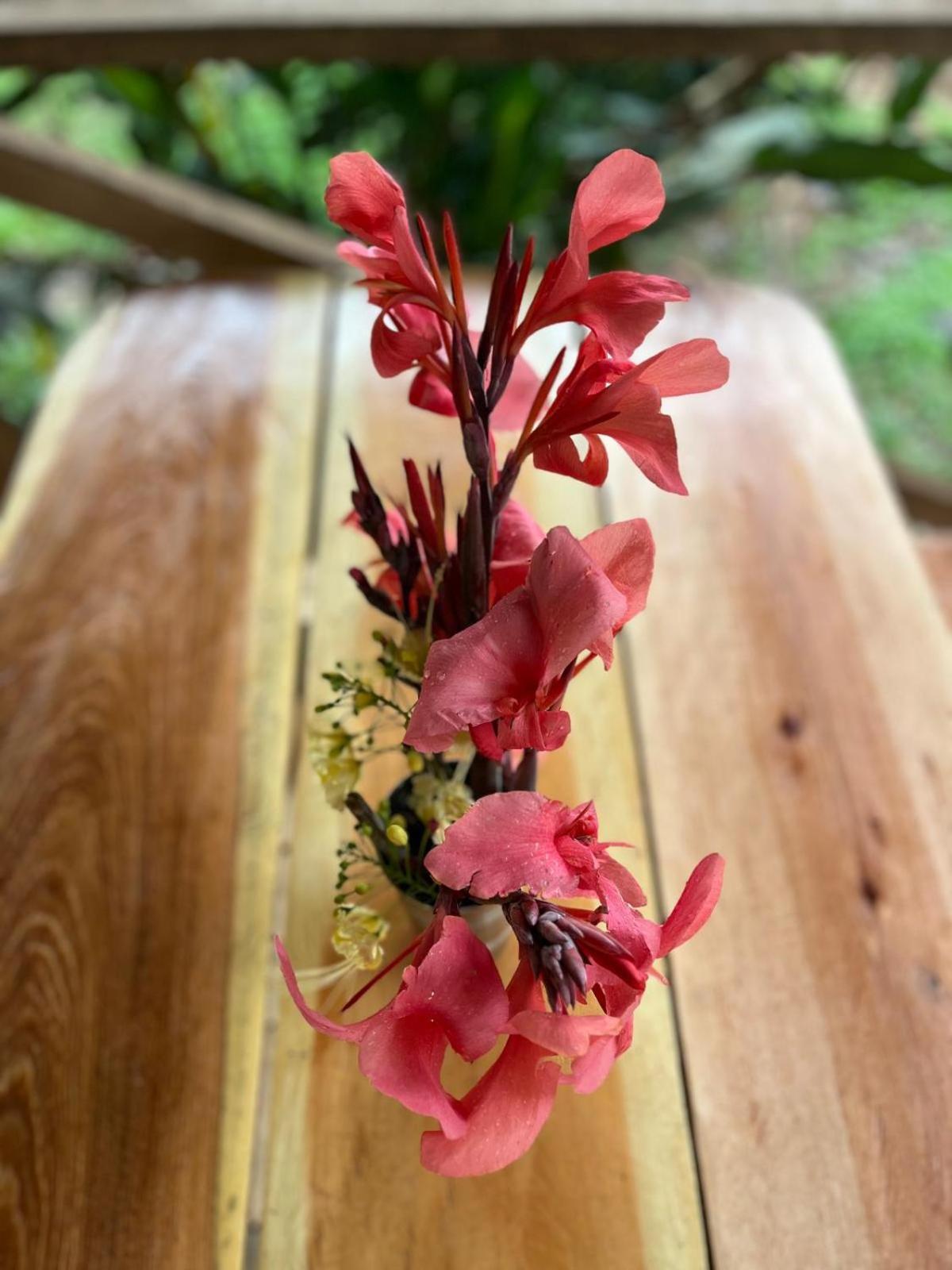 איקיטוס Purachata Ecolodge מראה חיצוני תמונה