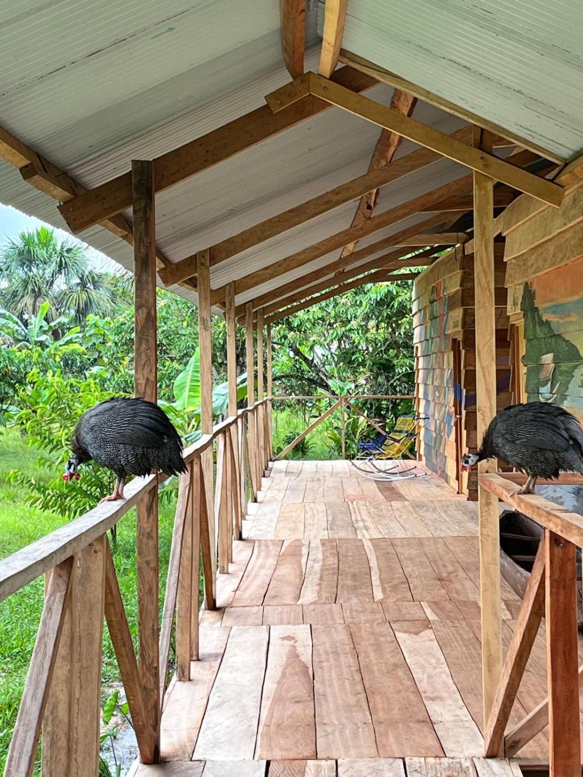 איקיטוס Purachata Ecolodge מראה חיצוני תמונה