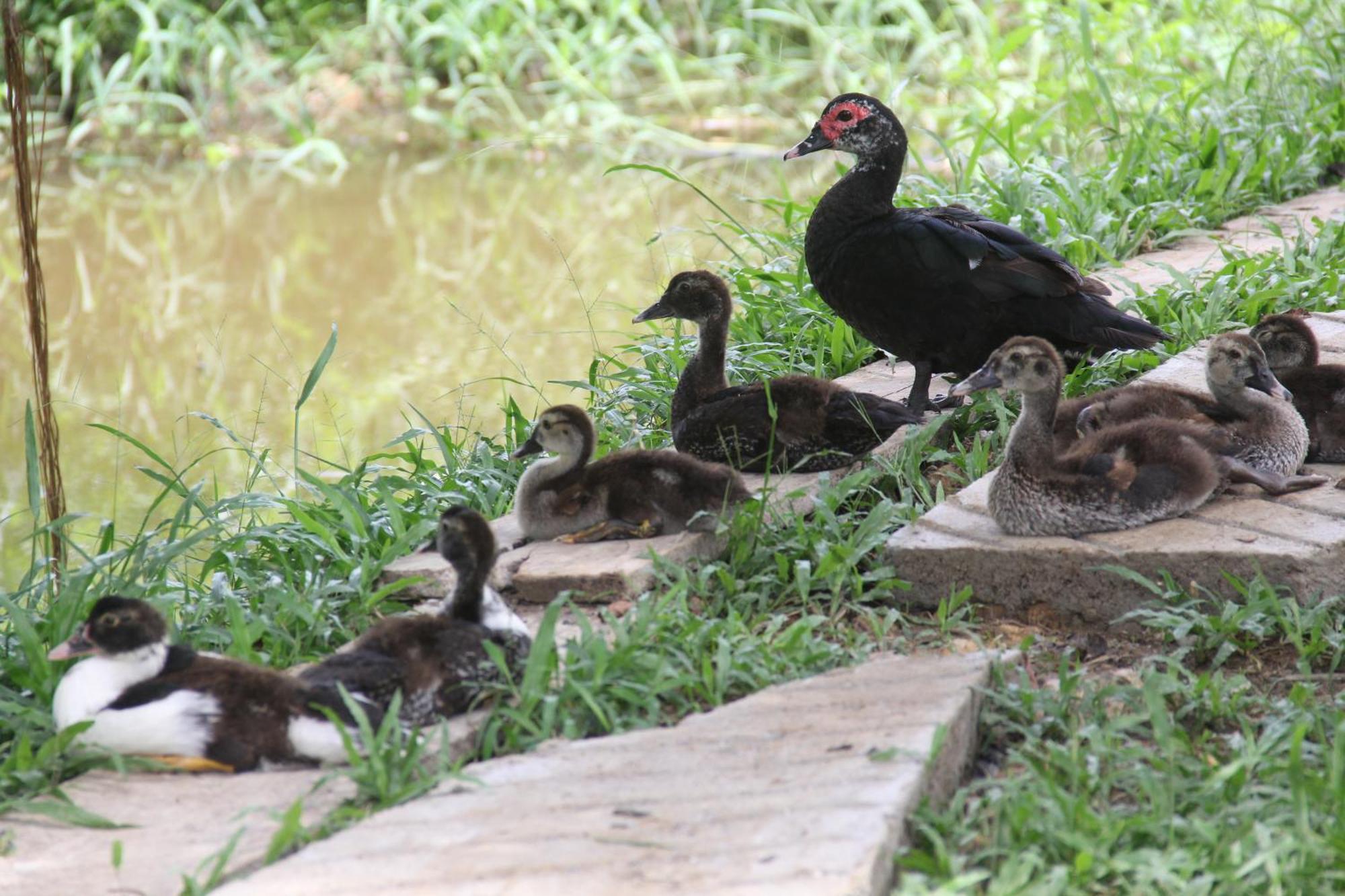 איקיטוס Purachata Ecolodge מראה חיצוני תמונה