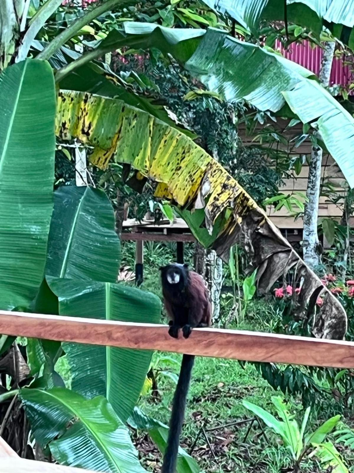 איקיטוס Purachata Ecolodge מראה חיצוני תמונה