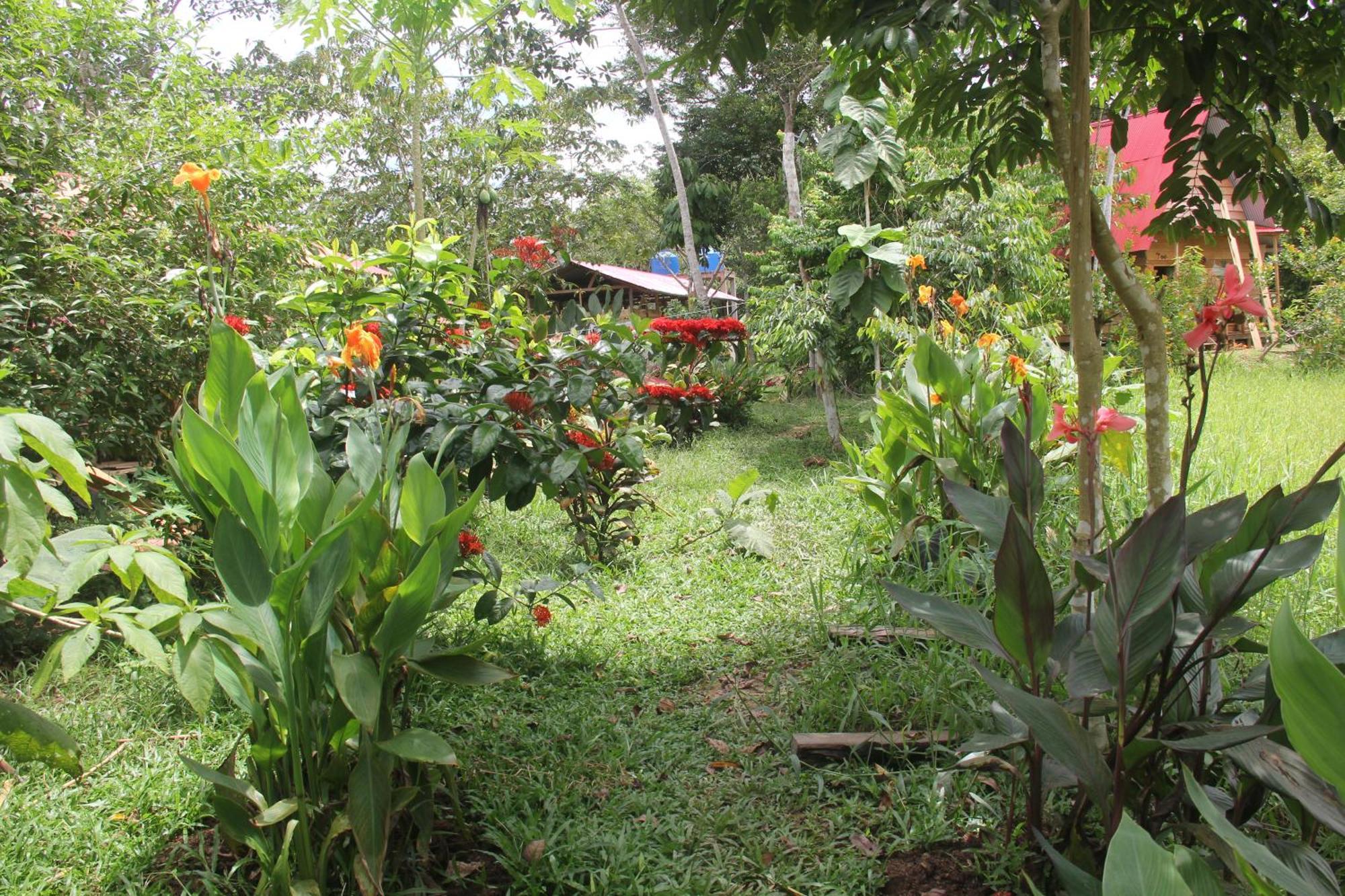 איקיטוס Purachata Ecolodge מראה חיצוני תמונה